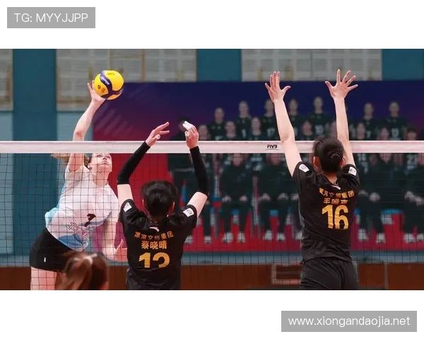 企鹅体育视频排球联赛（企鹅体育频道直播排球比赛）sports