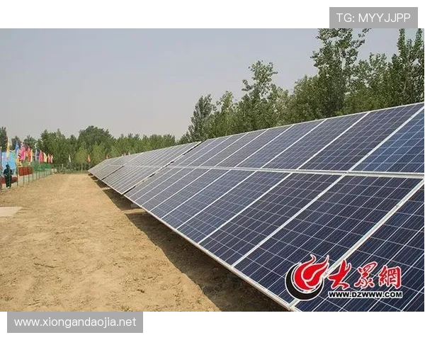 商河体育联赛直播平台（商河县直播）sports